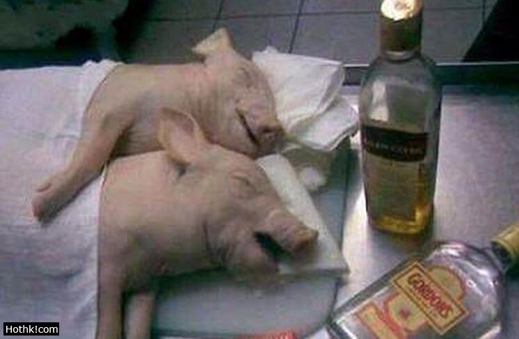 上百萬人了看完都笑了你能忍到第幾張？