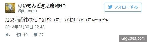 會自己搭地鐵回家的神秘貓咪 居然是已經長達 3 年以上的熟客！