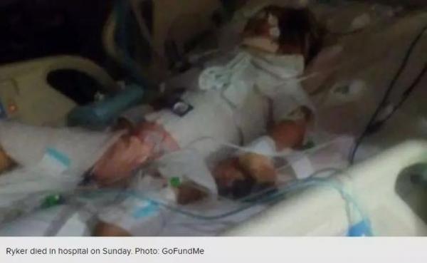 國外一男孩在後院玩，看見了一雙黑溜溜的眼睛，隨後他竟命喪黃泉