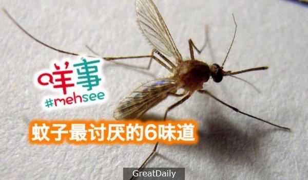 蚊子最討厭的6種味道！！！
