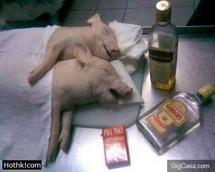 上百萬人了看完都笑了你能忍到第幾張？