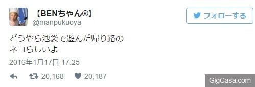 會自己搭地鐵回家的神秘貓咪 居然是已經長達 3 年以上的熟客！