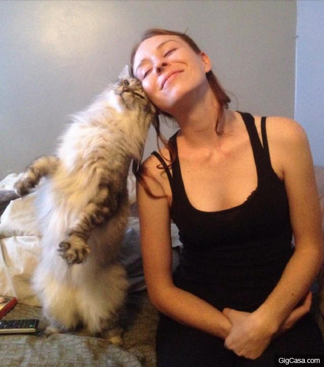 當你的貓咪輕咬你時，其實是對你說「我愛你」，而你卻誤解它