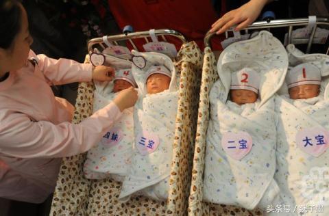 爸爸姓向，喜得4胞胎，一家人在討論取名字，把護士笑得肚子痛