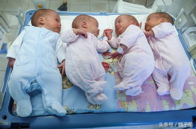 爸爸姓向，喜得4胞胎，一家人在討論取名字，把護士笑得肚子痛