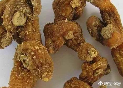 50歲左右，吃什麼能補身體？  人到歲數了，有時腰酸腿疼