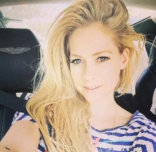 恐怖！被這種蟲咬到包你生不如死！23歲女子被咬，受不了要求安樂死…..案例太多了，一定要注意！