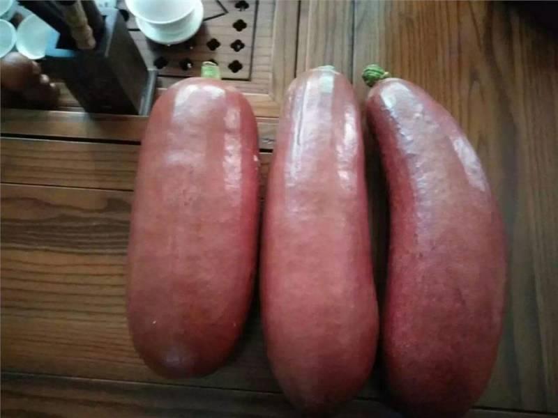 這些「罕見的水果」你吃過幾種？「這種樹」居然長出香腸了，味道還超甜！ - 美麗日報 Life