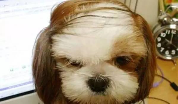 上廁所拉不出？把那兒拍三下就通了！！