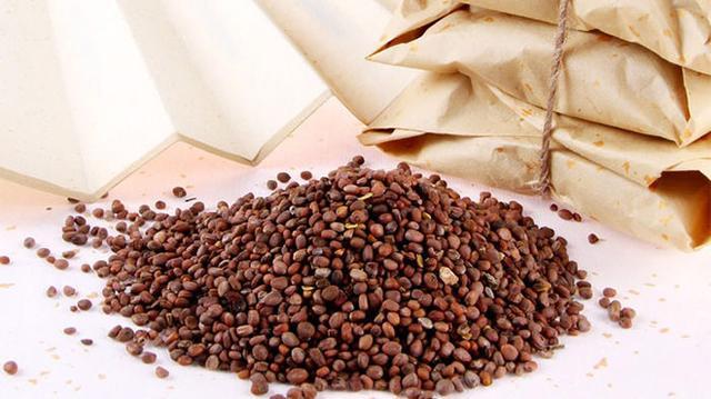 經常鼻出血怎麼辦？試試這3個妙招，效果特棒