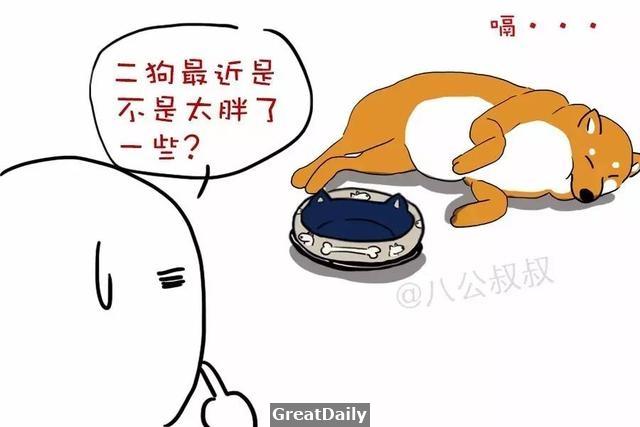 狗狗糖尿病晚期可能只活一個月!愛它就不要慣著它