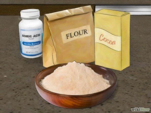 蟑螂一次產卵數百隻，你家床底一定有！這「幾招」消滅蟑螂卵，蟑 螂 再 也 不 敢 來 你 家 ！必學招式！