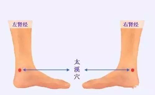 人體自帶一顆十全大補藥，遠勝蟲草、胎盤，是生命至寶！