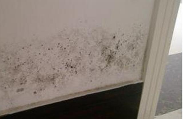 一旦家裡發黴牆壁變髒了,以下這種辦法,可以讓你家煥然一新!