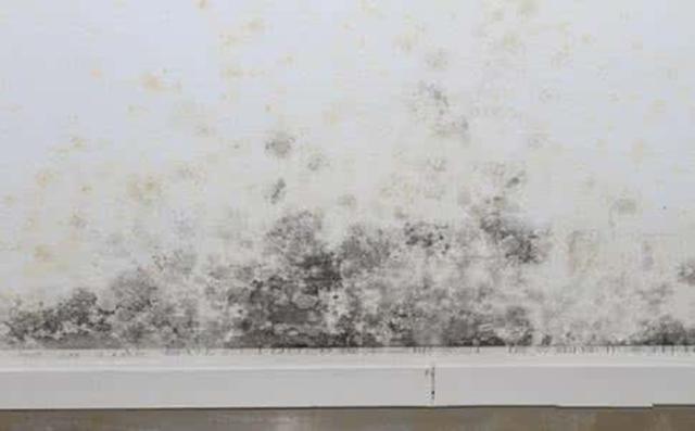 一旦家裡發黴牆壁變髒了,以下這種辦法,可以讓你家煥然一新!