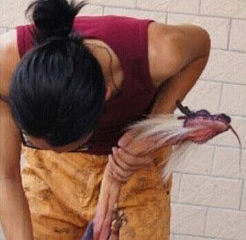 男子去果園的路上意外捉到一條「真龍」，活剖「真龍」現場照在網路上被曝光，驚呆了所有人！！