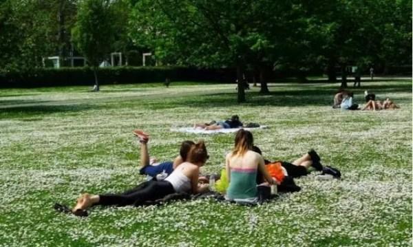 恐怖！被這種蟲咬到包你生不如死！23歲女子被咬，受不了要求安樂死…..案例太多了，一定要注意！