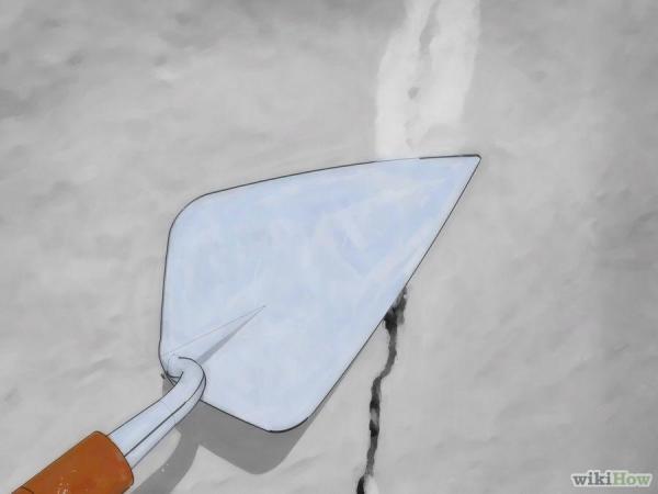 蟑螂一次產卵數百隻，你家床底一定有！這「幾招」消滅蟑螂卵，蟑 螂 再 也 不 敢 來 你 家 ！必學招式！