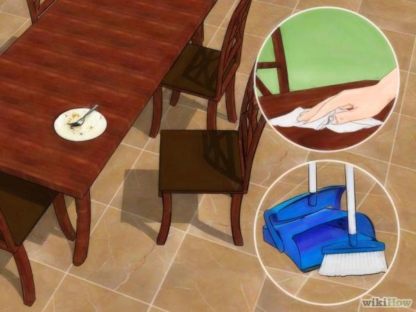 蟑螂一次產卵數百隻，你家床底一定有！這「幾招」消滅蟑螂卵，蟑 螂 再 也 不 敢 來 你 家 ！必學招式！