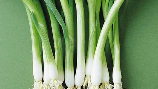 經常鼻出血怎麼辦？試試這3個妙招，效果特棒