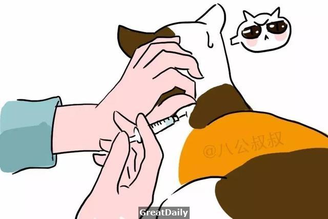 狗狗糖尿病晚期可能只活一個月!愛它就不要慣著它