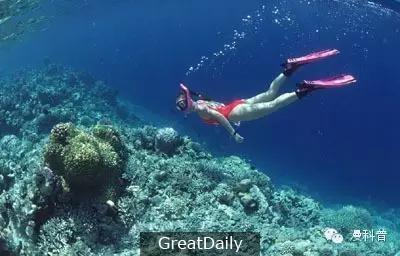 一群科學家把「豬的屍體」扔進300米深的海底，最後的結果讓人嚇壞了！