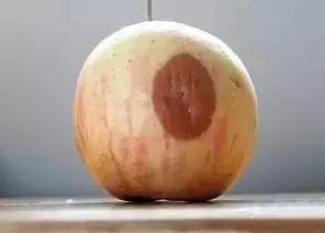 14281521301388.jpg