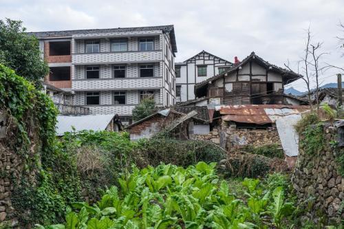 兒子外地做生意10年未歸，老人乘車千裏探望，敲門後她淚流滿麵