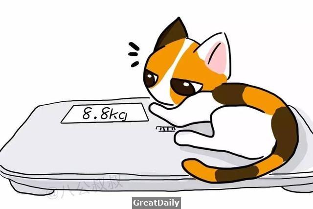 狗狗糖尿病晚期可能只活一個月!愛它就不要慣著它