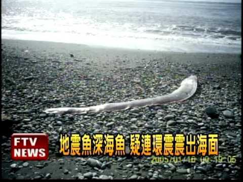 出大事了？台灣南部網友拍攝到的恐怖畫麵，所有人都看傻了！沒想到「它」竟然出現在這個地方...