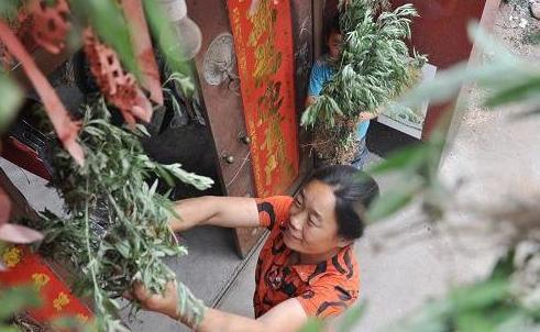 8個除蚊子的妙招，簡單有效！實用又省錢，每家每戶都用得上！