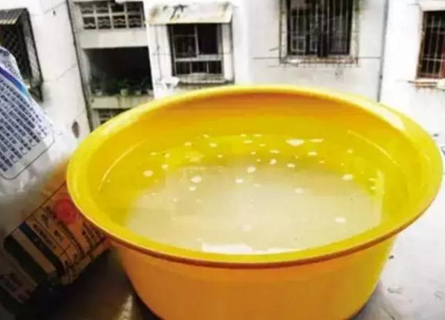 8個除蚊子的妙招，簡單有效！實用又省錢，每家每戶都用得上！