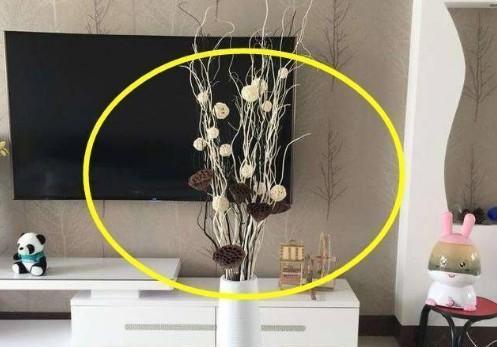 這幾種植物千萬別擺家中，特別第3種富人從不放，否則入住必破財(5/13)