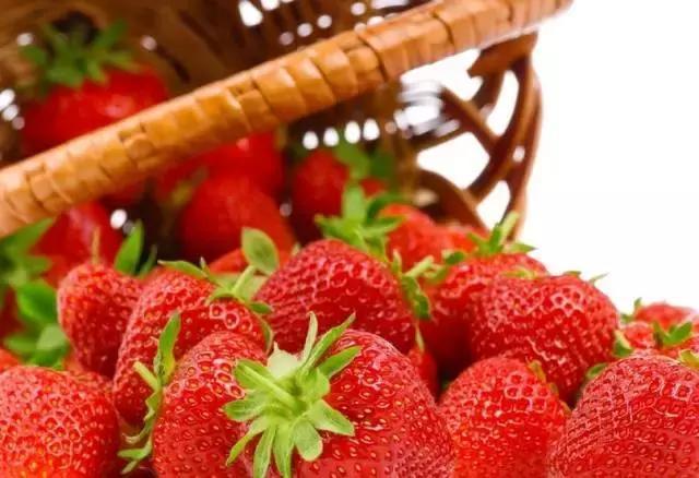 10種「刮油」食物平時要多吃，一周從L碼變M碼！