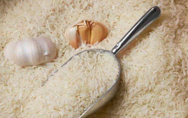 家裡的米總是一直生米蟲?!分享天然又有效的驅蟲法給大家 
