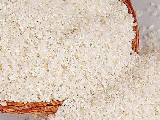 家裡的米總是一直生米蟲?!分享天然又有效的驅蟲法給大家 
