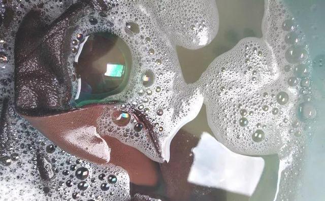 養花要注意，這幾種水不能用，不然黃葉又爛根！