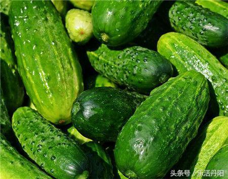 黃瓜籽的功效與作用！ 補鈣壯骨還止咳！ 人過40每天來一點！