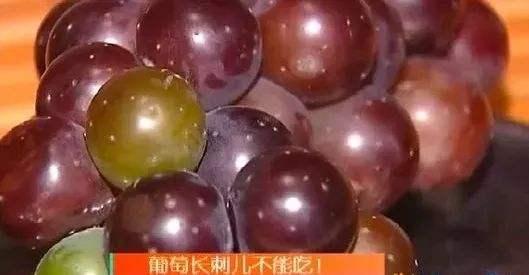 葡萄甘甜爽口，還有十大藥用功效，你確定不嚐嚐？