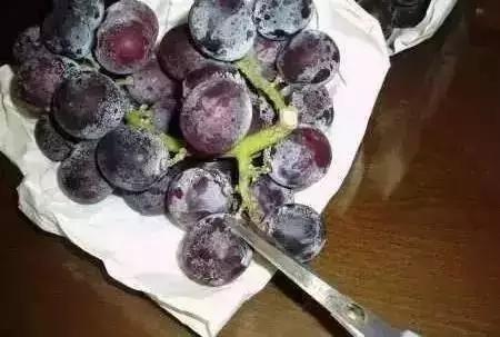 葡萄甘甜爽口，還有十大藥用功效，你確定不嚐嚐？