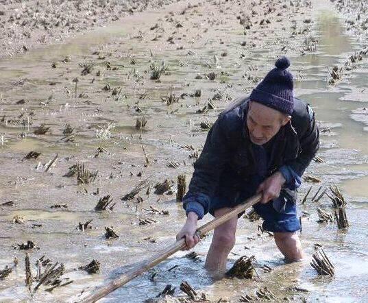 母親生病我拿不出錢，嶽父讓妻子送來六萬，我欠的債拿什麼來償還