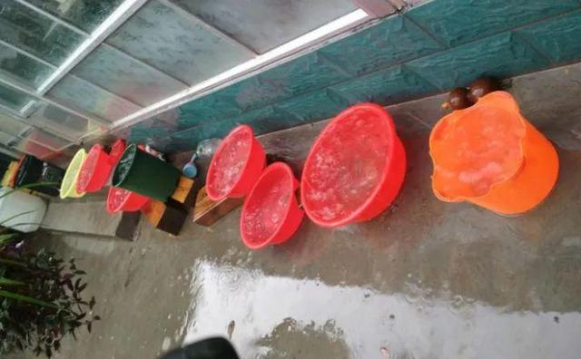 養花要注意，這幾種水不能用，不然黃葉又爛根！