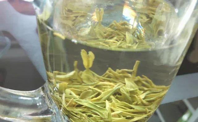 養花要注意，這幾種水不能用，不然黃葉又爛根！