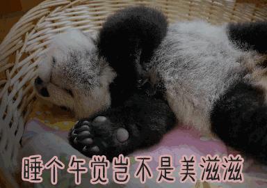 午睡是門「技術活」，科學家實驗揭秘最佳午休時長