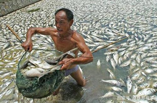 鄉下老父送來一袋魚乾，兒子嫌難吃放冰箱，半年後打開袋子我哭了