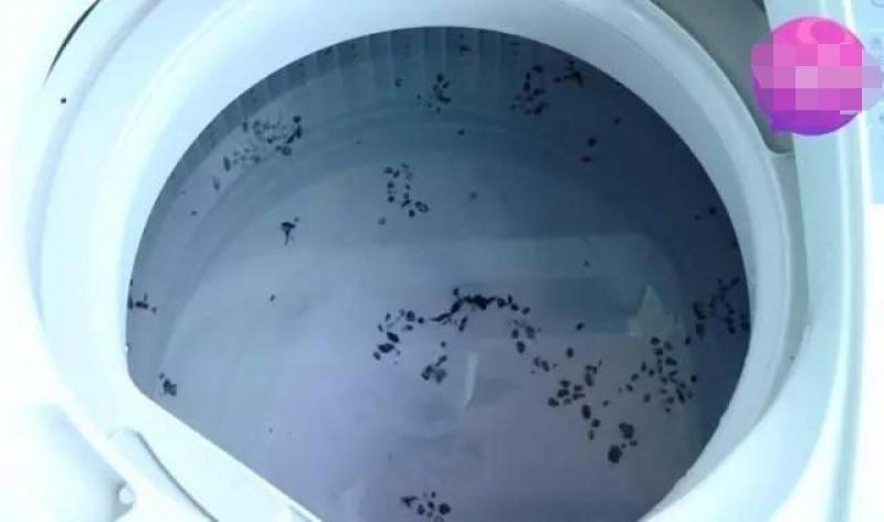剛洗完的洗衣機看起來很乾淨,但用這簡單方法「真正的髒汙」才能被洗出來