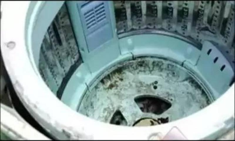 剛洗完的洗衣機看起來很乾淨,但用這簡單方法「真正的髒汙」才能被洗出來