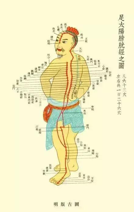 這條經絡是身體上最大的「排毒」通道，經常拍一拍，增強抵抗力！