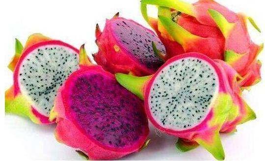 紅心火龍果和白心火龍果有什麼區別? 學問大了, 可不只顏色不同那麼簡單 