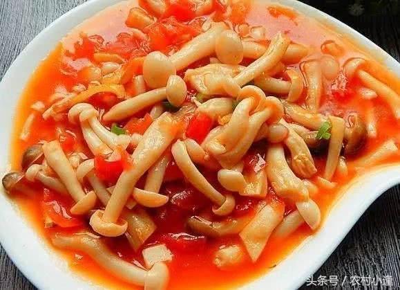 16道菜最適合晚上吃，做法簡單，趕緊做給家人嘗嘗！